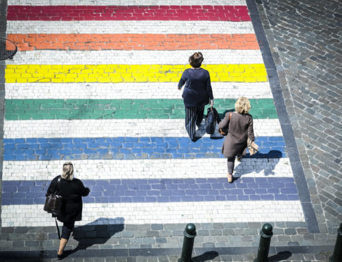 My plenary speech on  the Declaration of the EU as an LGBTIQ Freedom Zone