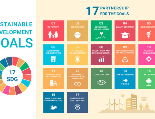 Europe must lead by example in implementing the Sustainable Development Goals