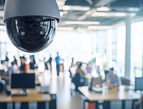 L’emploi doit rester humain : le Parlement européen agit pour encadrer l’intelligence artificielle au travail